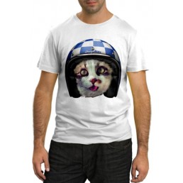 Кот в шлеме Кот в шлеме