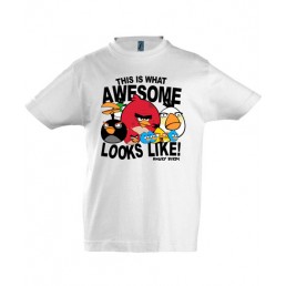 Футболка для мальчика  Angry Birds 4